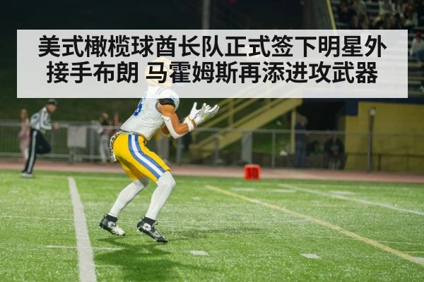 美式橄榄球酋长队正式签下明星外接手布朗 马霍姆斯再添进攻武器